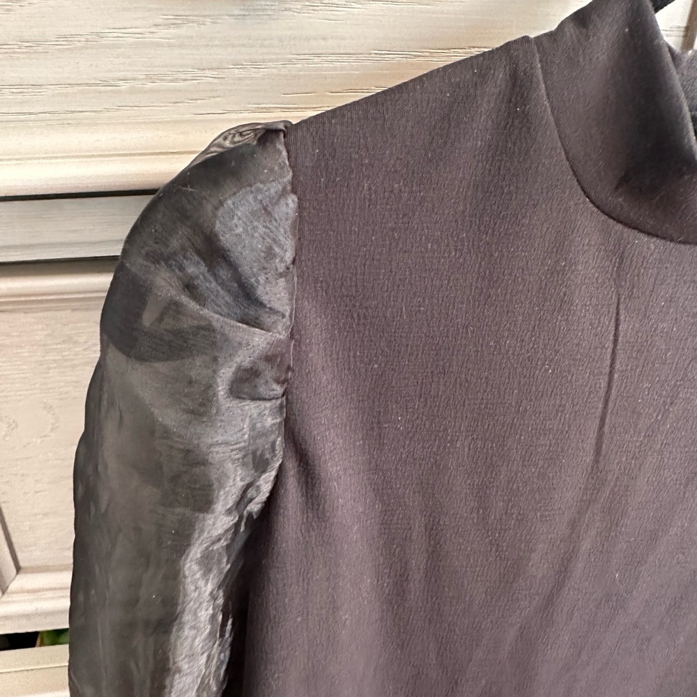 Elegant Black Sheer Sleeve Top - Picture 2 of 8